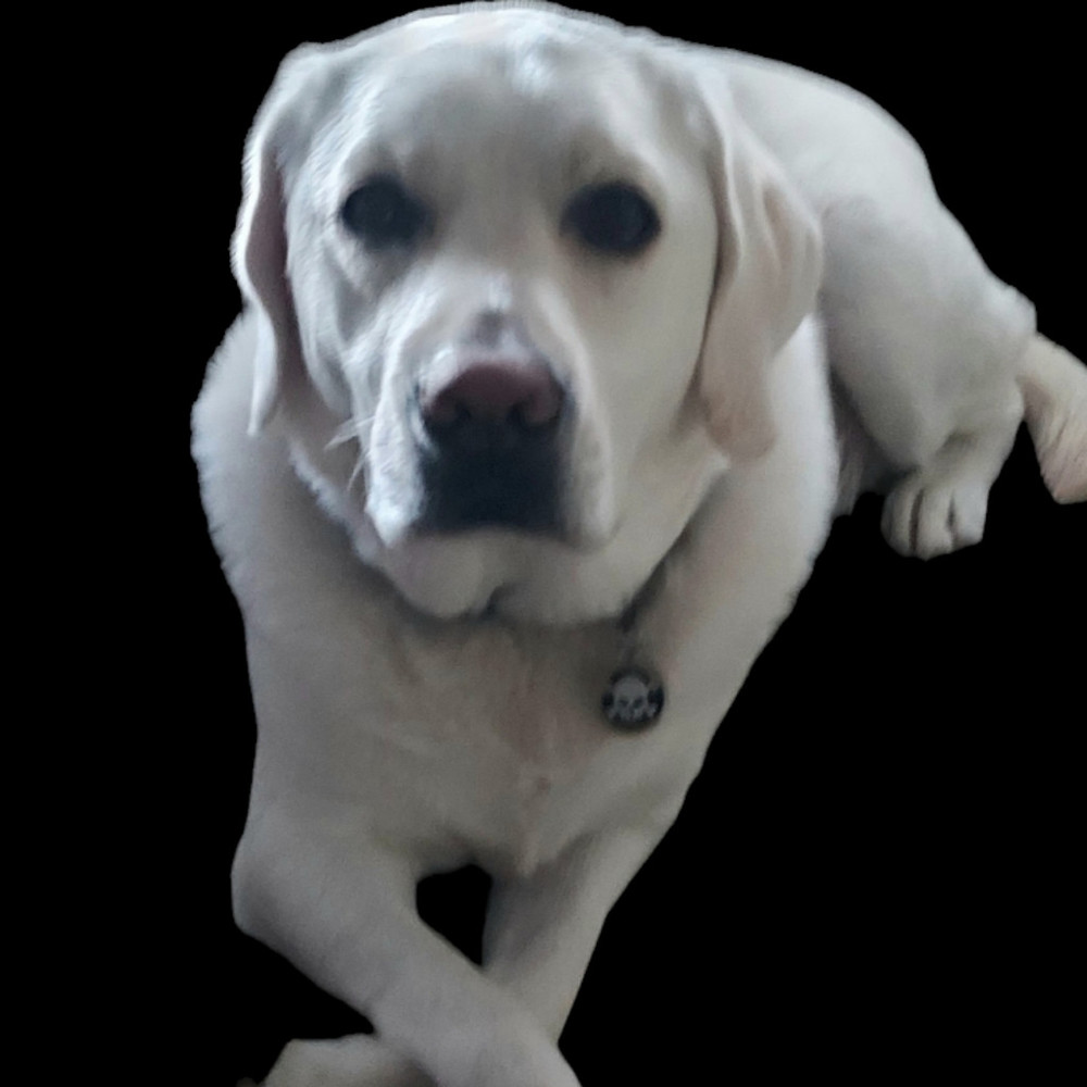 Meet your Posher, Chauncey